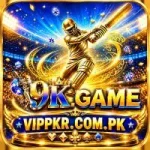 9k Game Logo